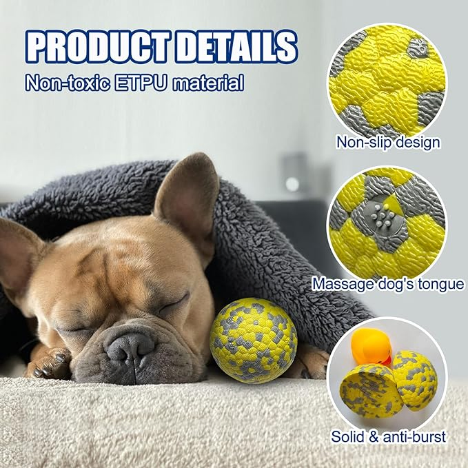 Brightly Colored Floating Rubber Dog Toy for Fun Outdoor Play