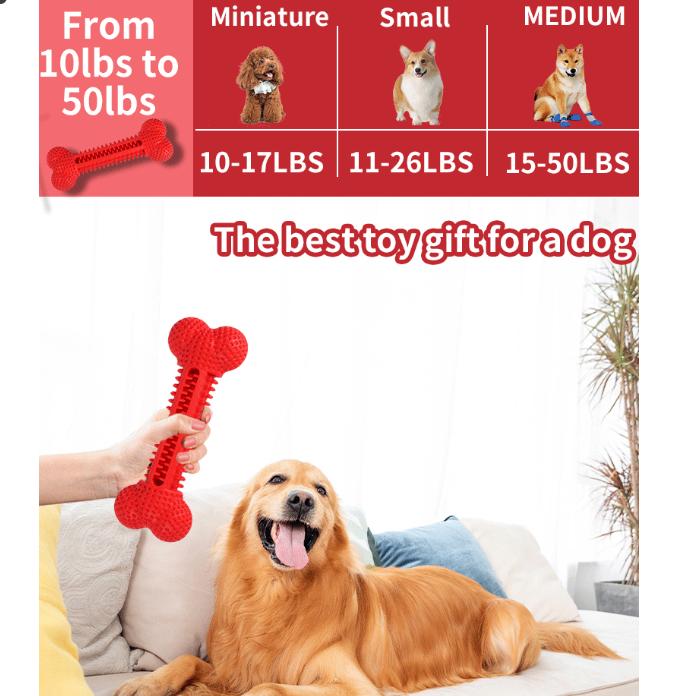 Dog Toy Showcase 3