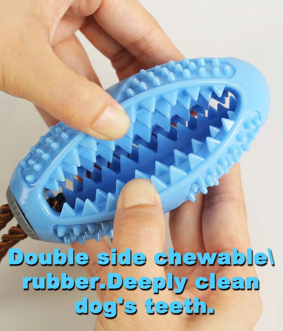 Innovative Design Molar Toothbrush Structure