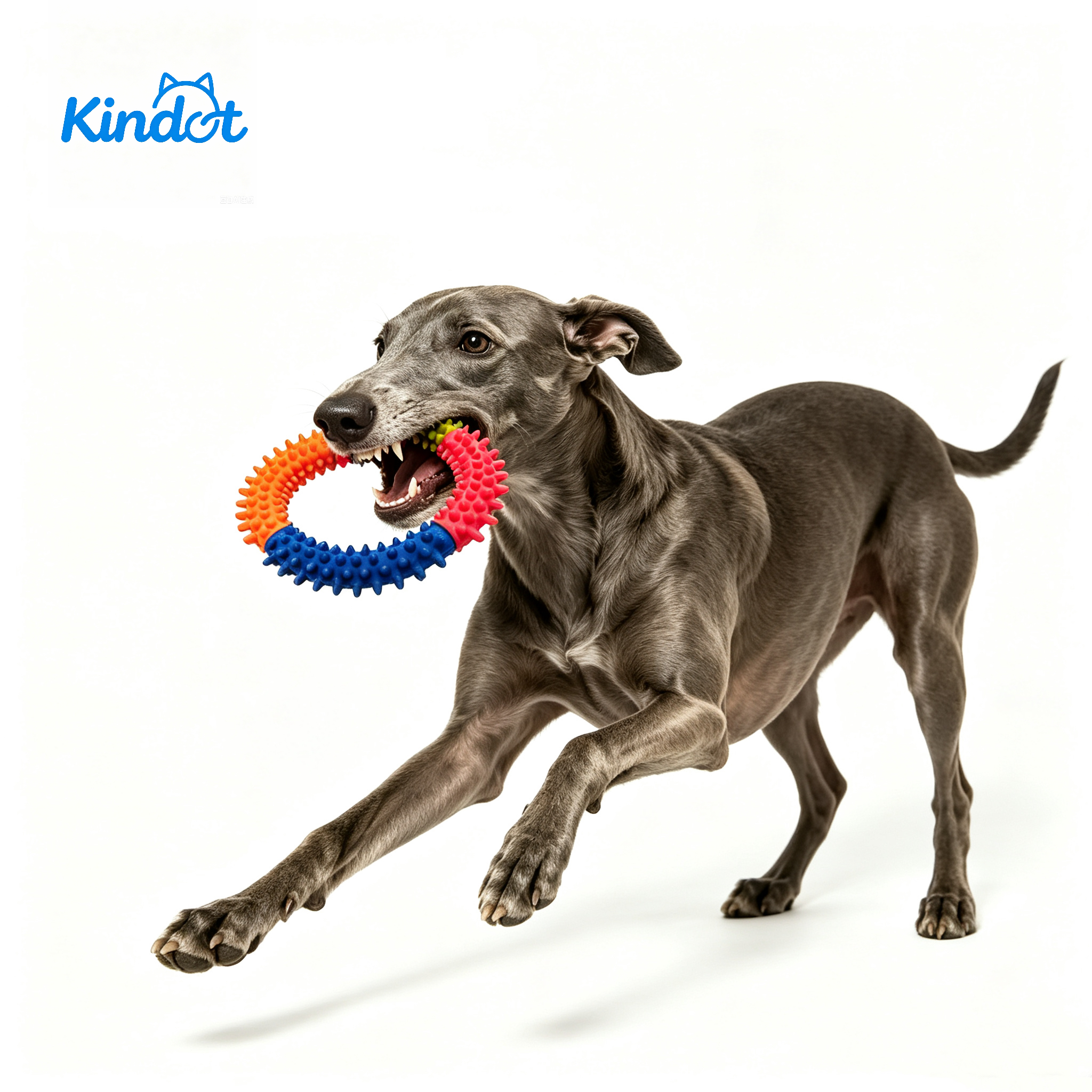 Wholesale Durable Bite-Resistant Four-Color Spiked Ring Dog Chew Toy For Medium/Large Breeds-Thermoplastic Rubber Interactive