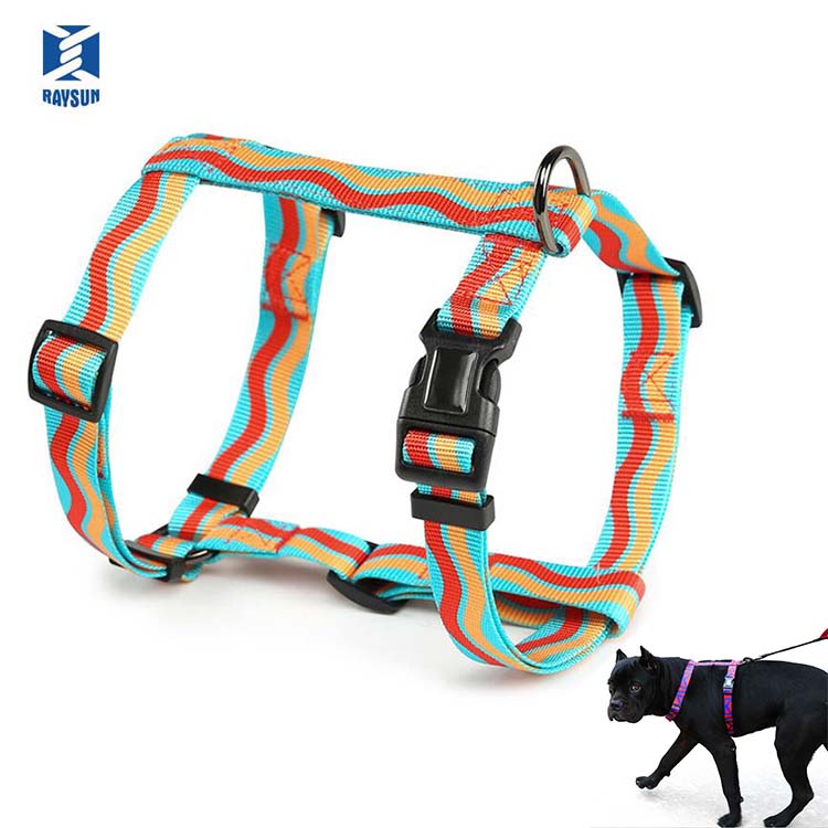 Related Product 4