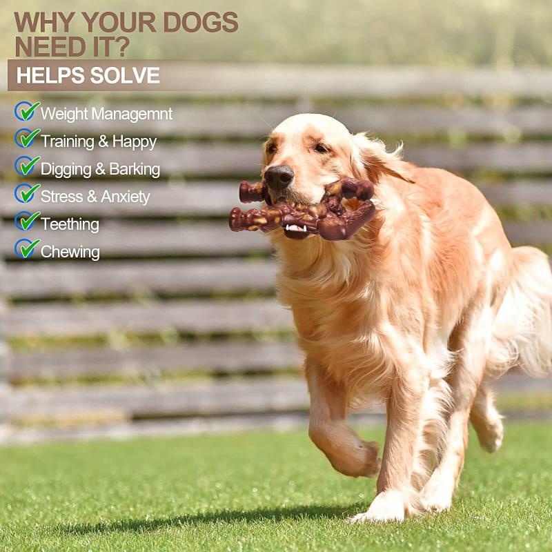 Dog Toy Showcase 1