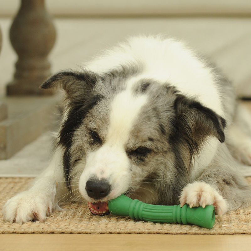 China Manufactory Private Label Treat Dispensing Tough Dog Toys for Aggressive Chewers Natural Rubber Bone Green L
