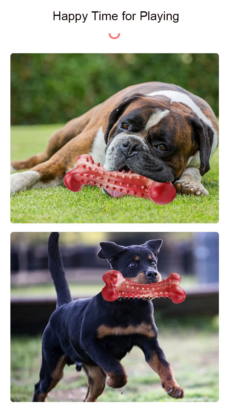 Durable Dog Soft Chew Toy for Indoor and Outdoor Teeth Cleaning