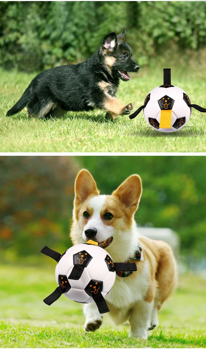 Cooling Dog Toy Dimensions
