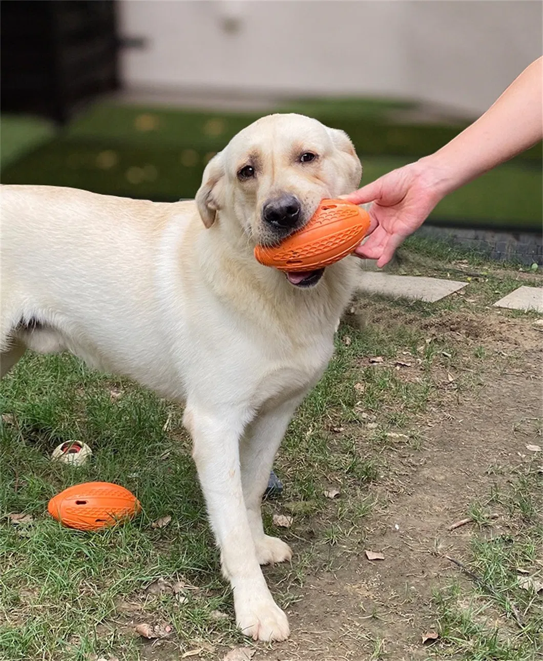 Durable Bite-Resistant Rubber Playing Puppy Chew Ball Safety Funny Football Dog Toy