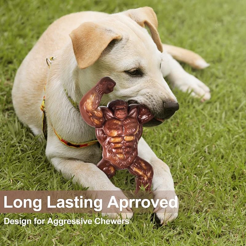 Dog Toy Showcase 3