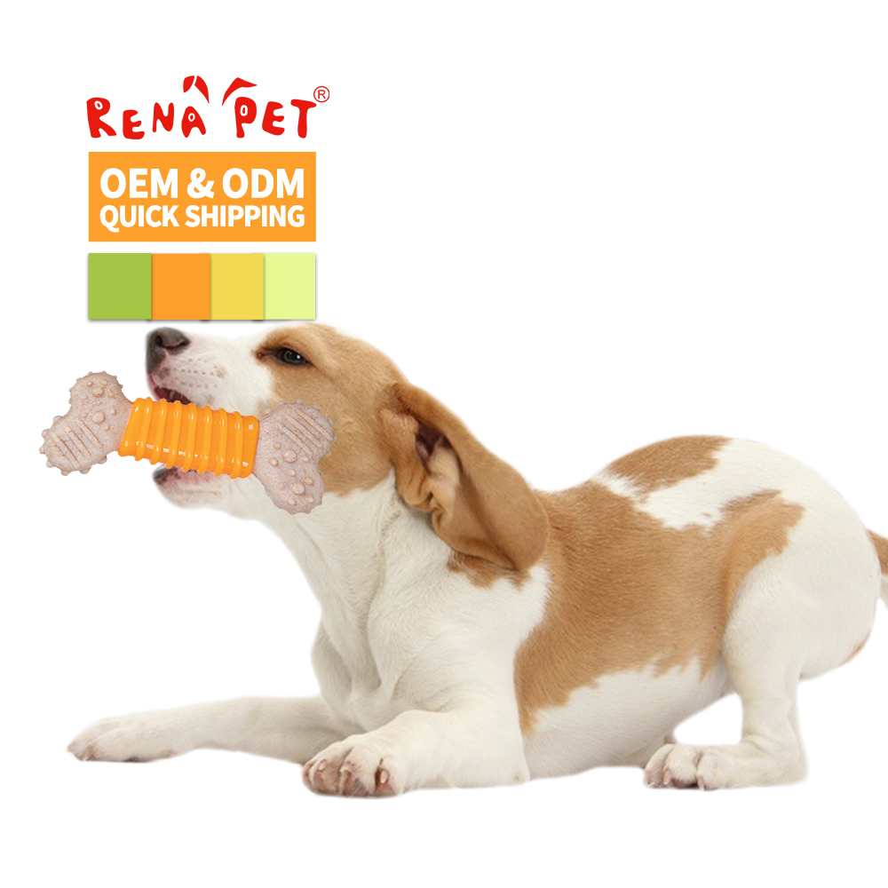 Manufacturer Wholesale Pet Product Supplier TPR Bone Durable Dog Chew Toy