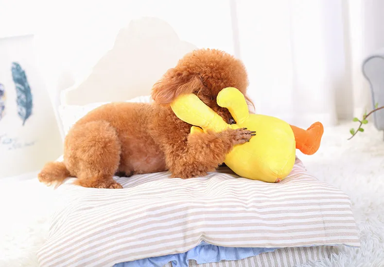 Hot Selling Cute Dog Toy Stuffed Duck Squeaky Chew Toy for Puppy