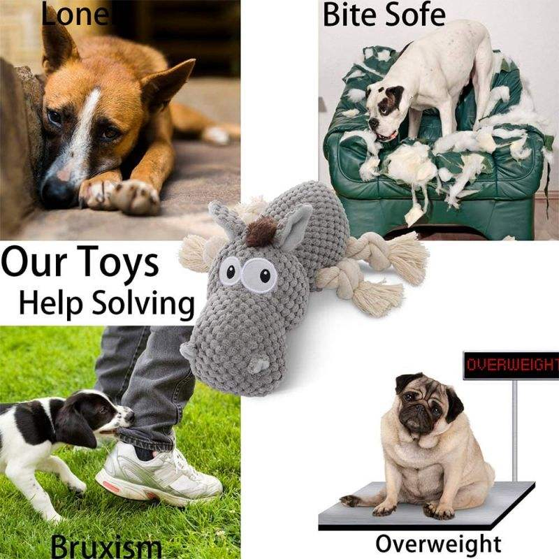 Wholesale Pet OEM ODM Waterproof Durable Natural Cotton Squeaky Dog Chew Toys