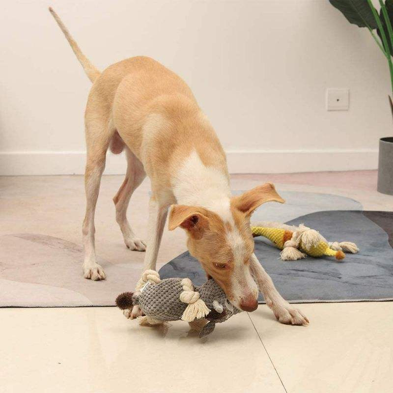 Wholesale Pet OEM ODM Waterproof Durable Natural Cotton Squeaky Dog Chew Toys