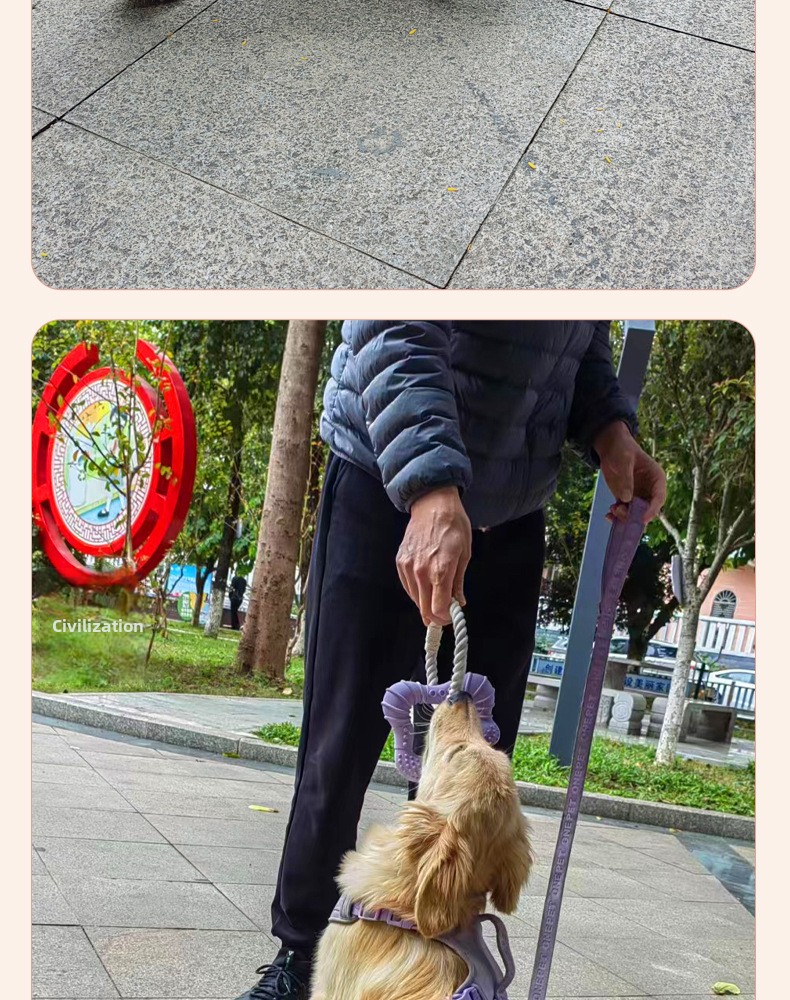 Silicone Dog Tug of War Toy-Squeaky Eco-Friendly Novelty &amp; Fashion Design with Biodegradable Rope