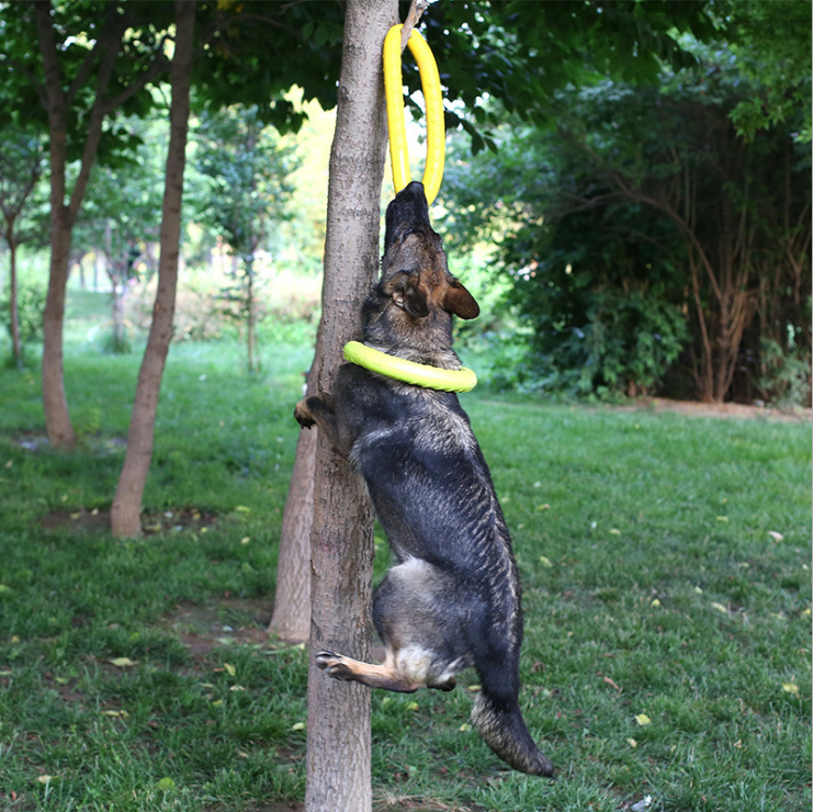 Dog Flying Disc Dog Training Toy