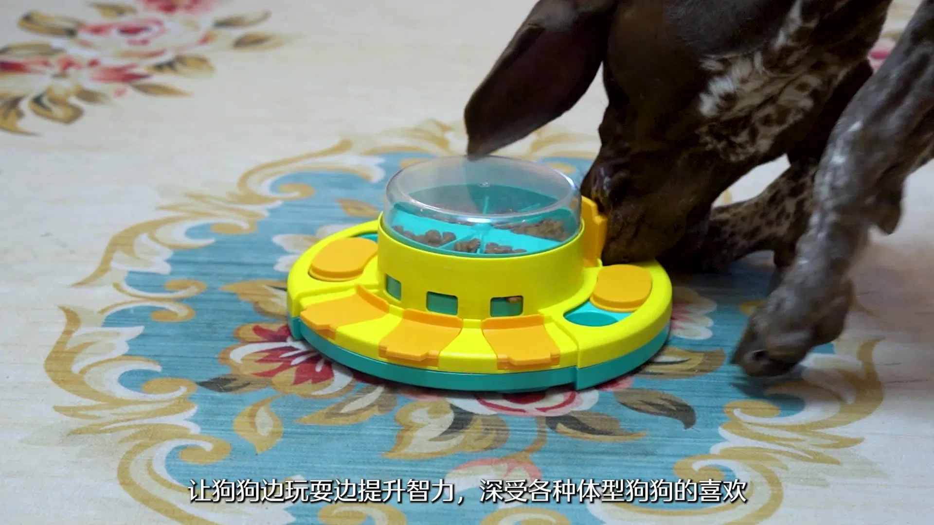 Pet Supplies Puzzle Missing Food Dog Toy Turntable Cat Amusement Stick Pet Toy