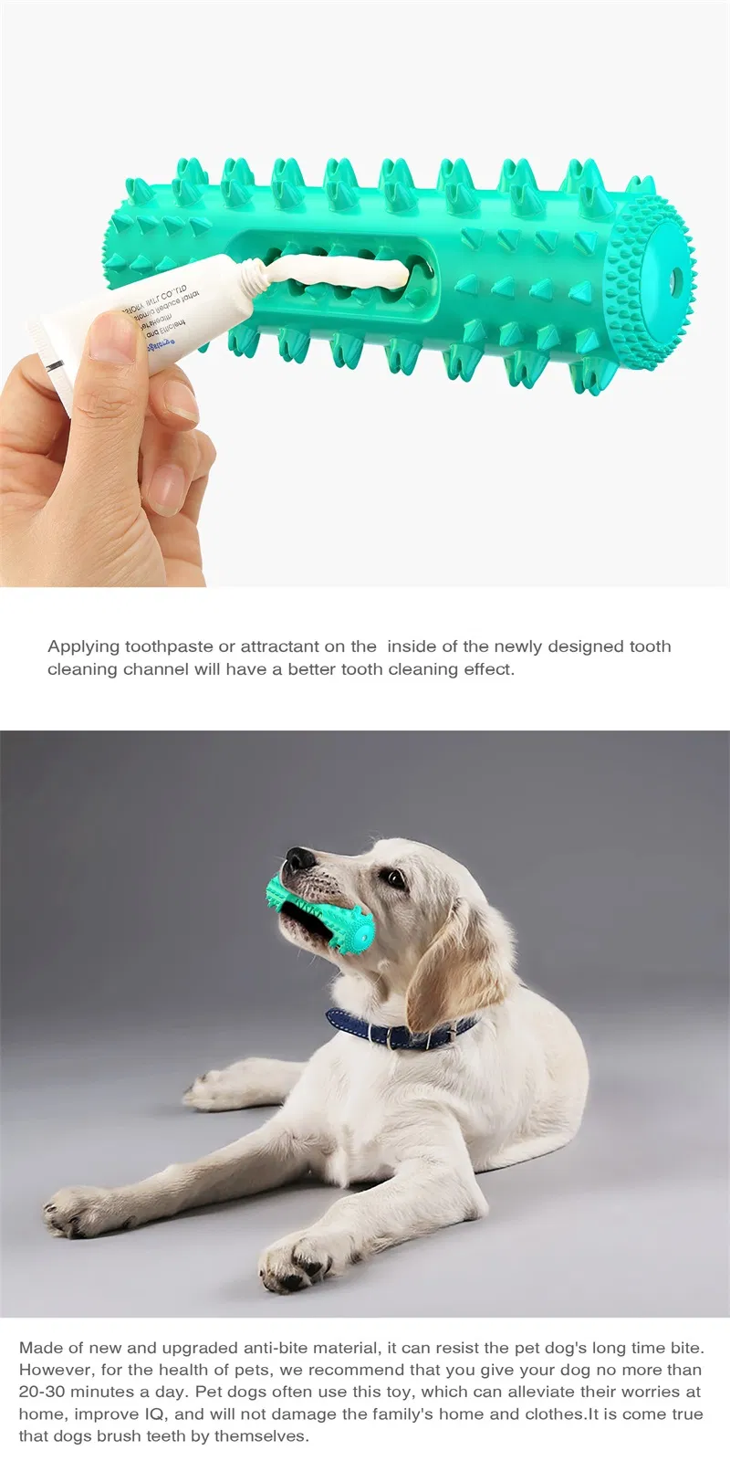 Classic Durable Dog Toothbrush Water Floating Molar Stick Dog Chew Toy Pet Doggy Dental Care Supplies