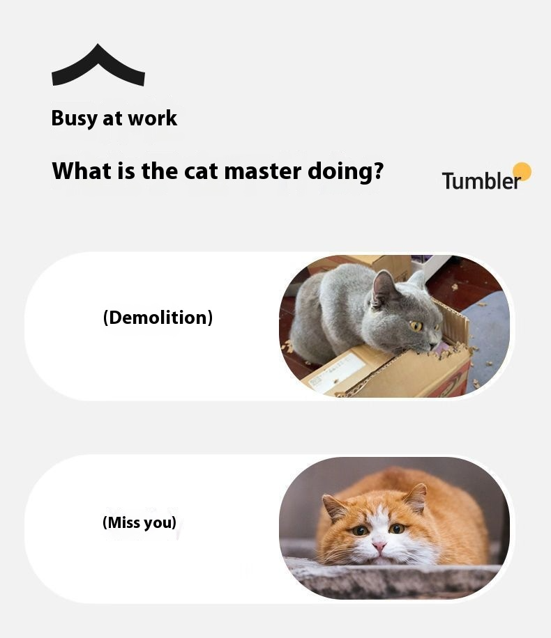 Smart Toy Features 2