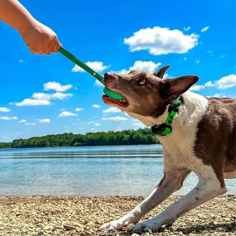 New Arrival Customizable Logo Pet Toy Tennis Ball Dog Toy Tennis Ball Holders PVC Dog Leash for Pet Outdoor Playing Silicone