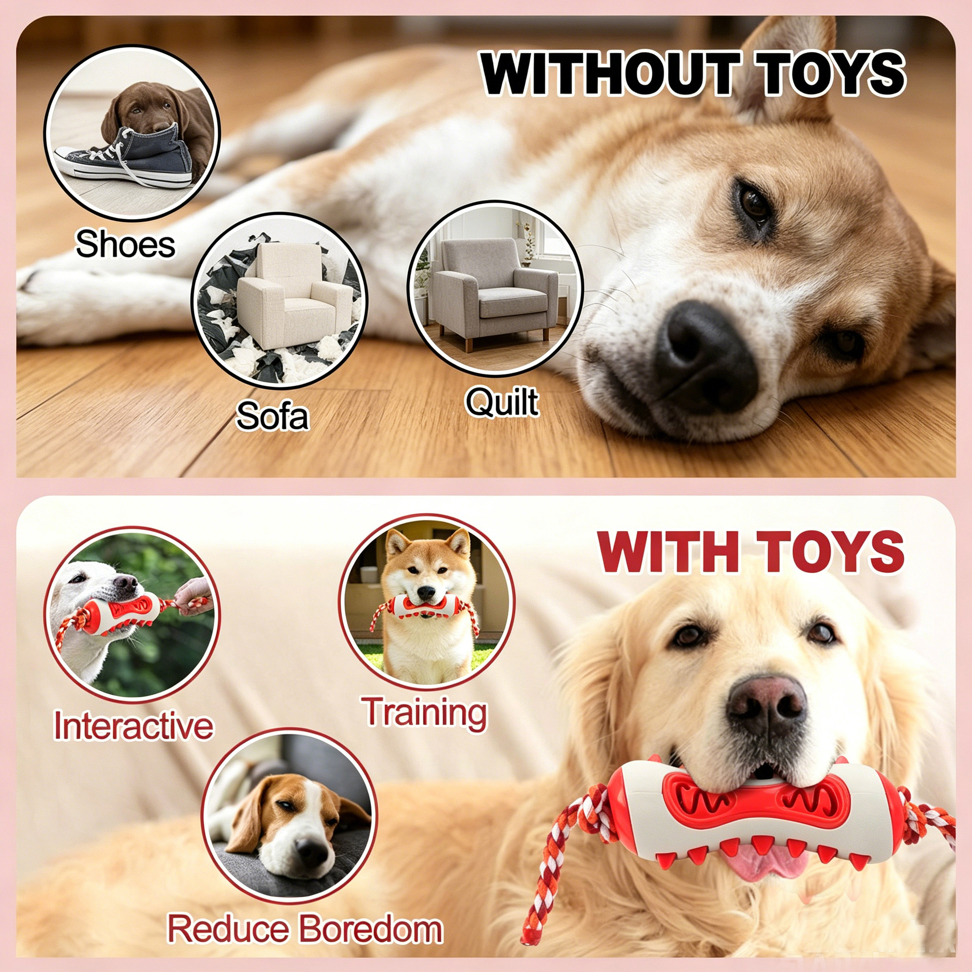 Custom Durable Dog Dental Chew Toy with Rope TPR/Rubber Bite Resistant Interactive Tug Toy for Indoor Use