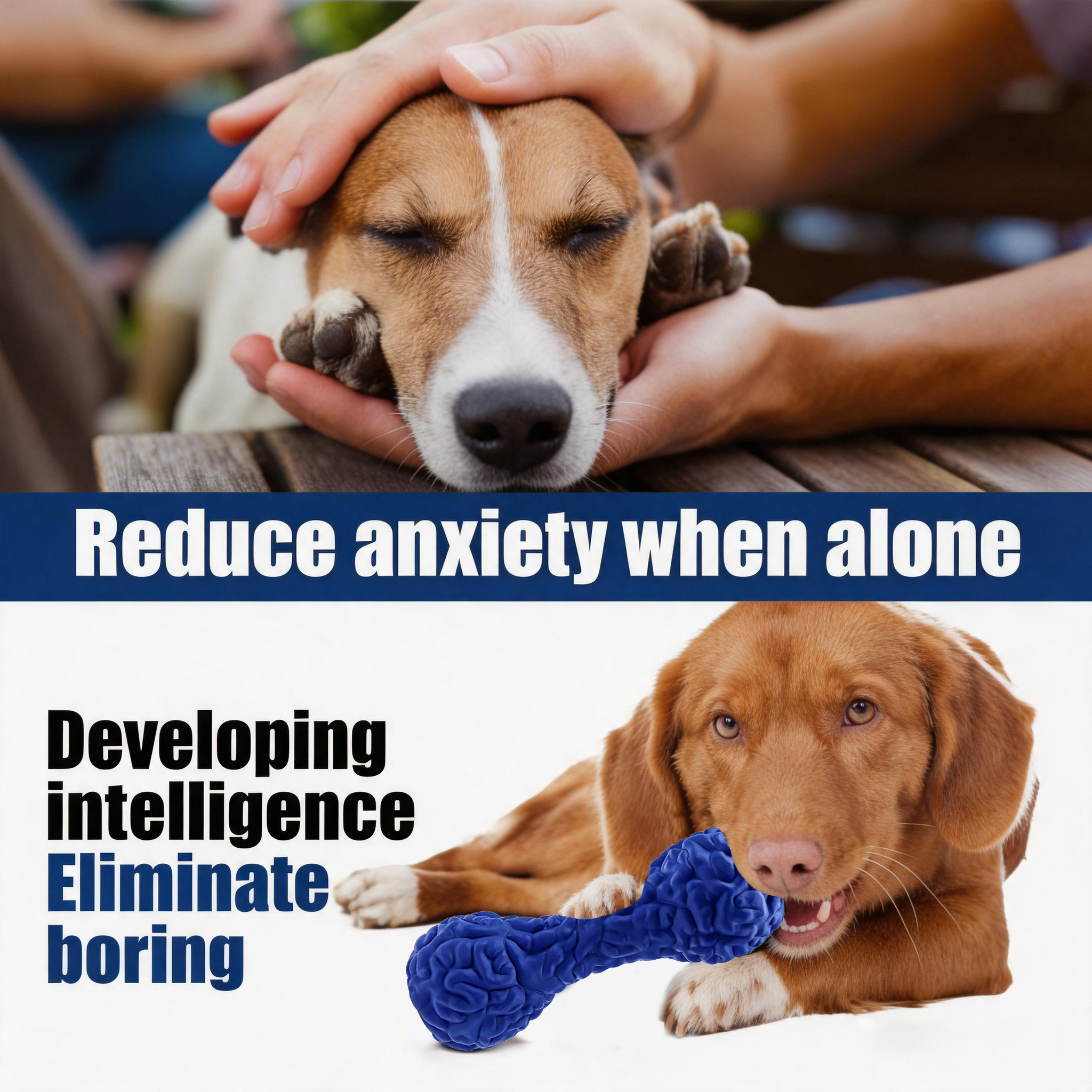 Durable Dog Training Treat Puzzle Toy Eco-Friendly Modern Dumbbell Shaped Big Size Multi-Color Indoor/Outdoor Use Rubber