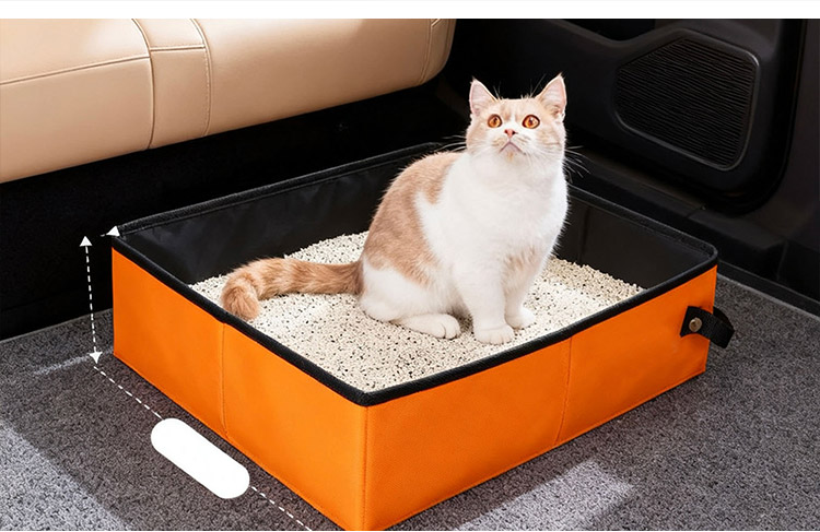 Pet Toy Presentation 1