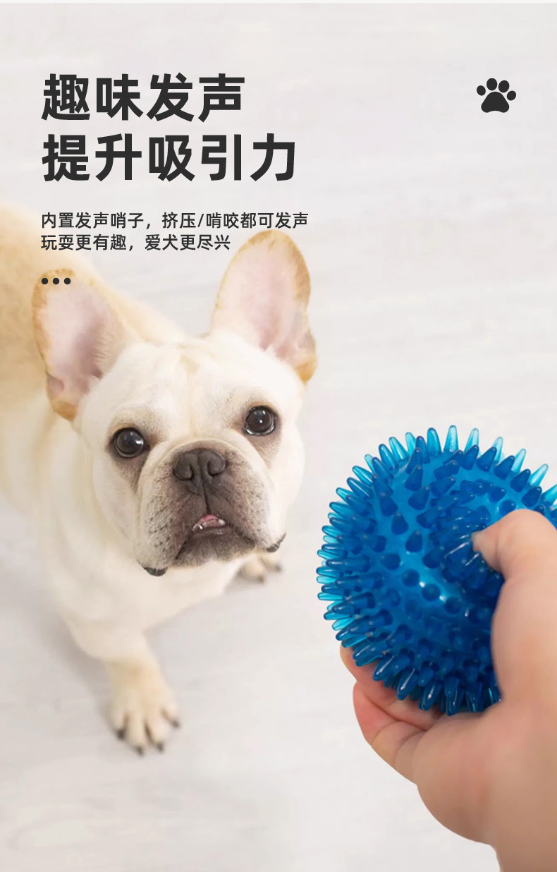 Dog Toy Image