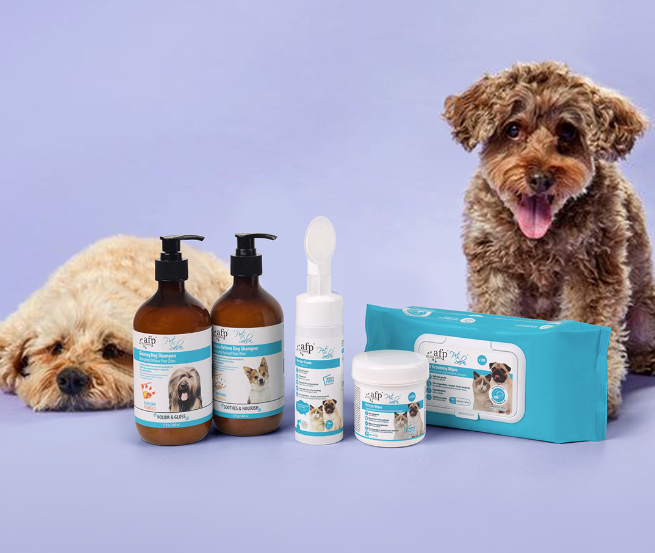 Pet Salon