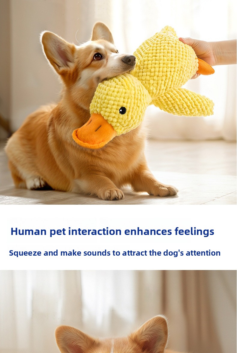 Pet Product View 3