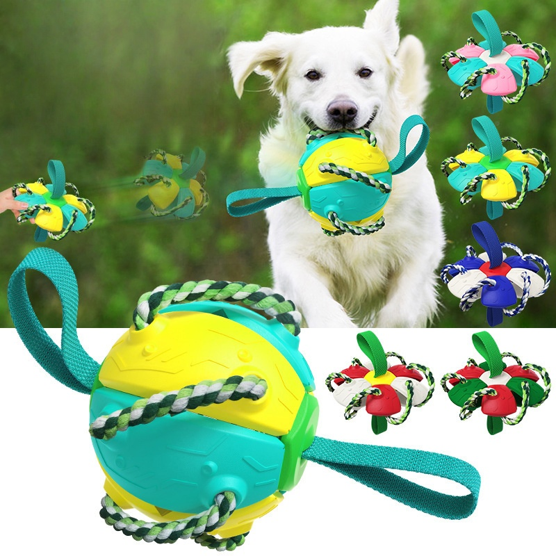 Pet Supplies Outdoor Frisbee Interactive Soccer Training Dog Toys