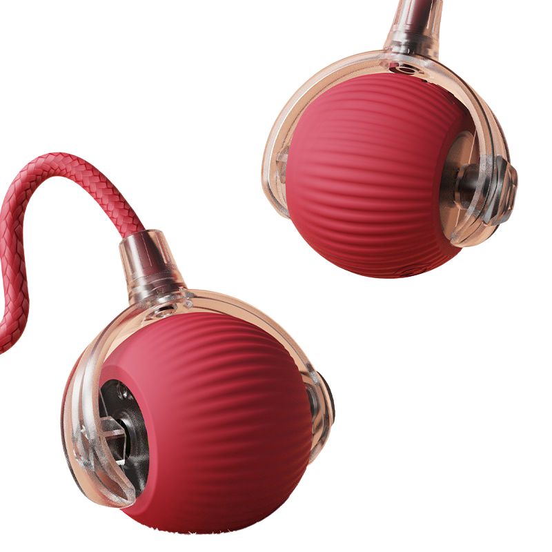 Smart Pet Exercise Toy Main View