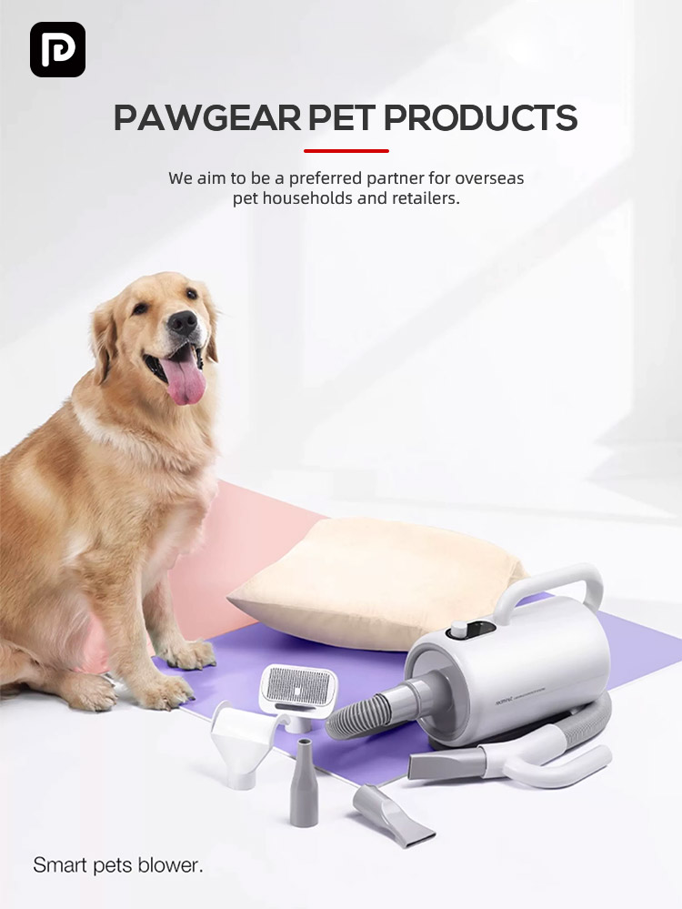 Pet Toy Feature