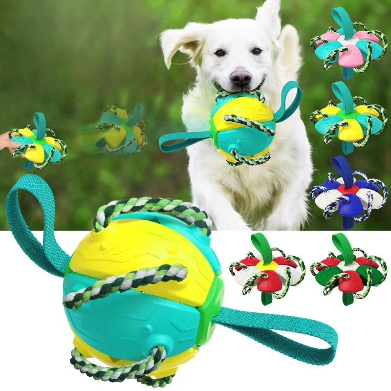 Pet Supplies Outdoor Frisbee Interactive Soccer Training Dog Toys