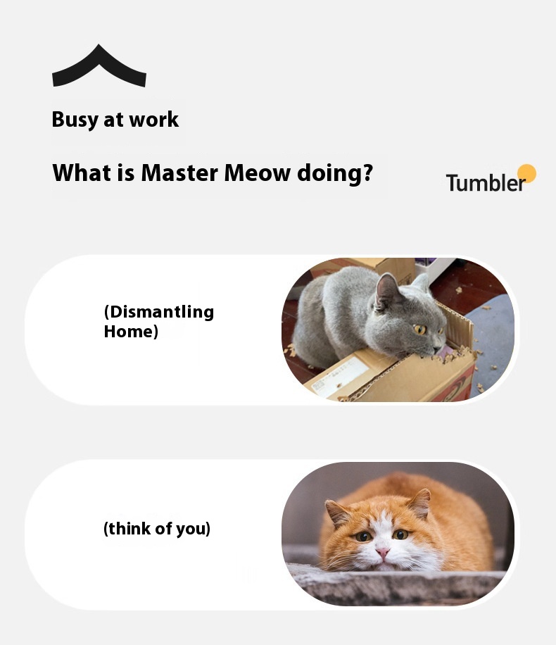 Eco-friendly pet ball toy