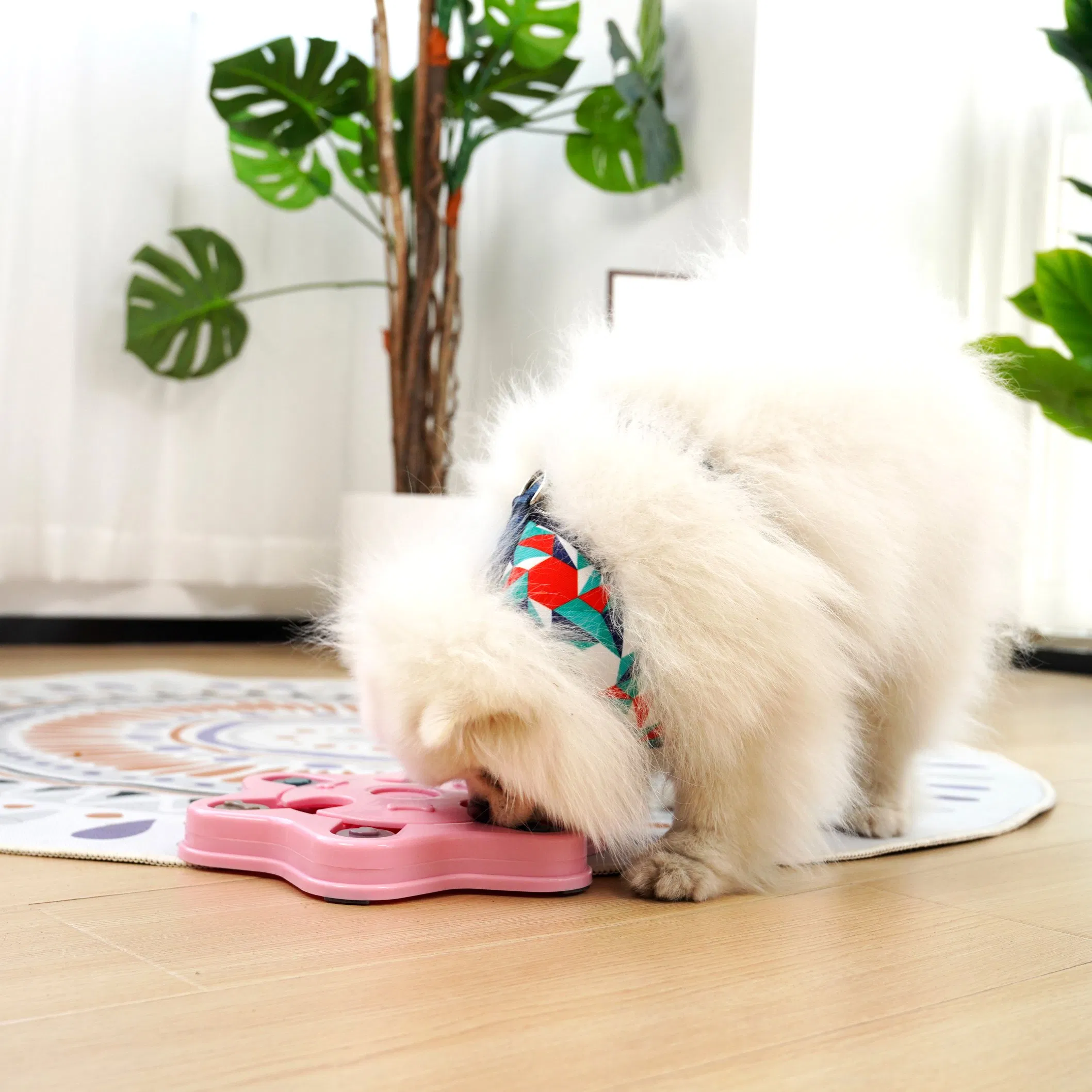 Rena Pet Dog Food Hiding Toys Pet Puzzle Food Dispensers to Develop Pets' Intelligence