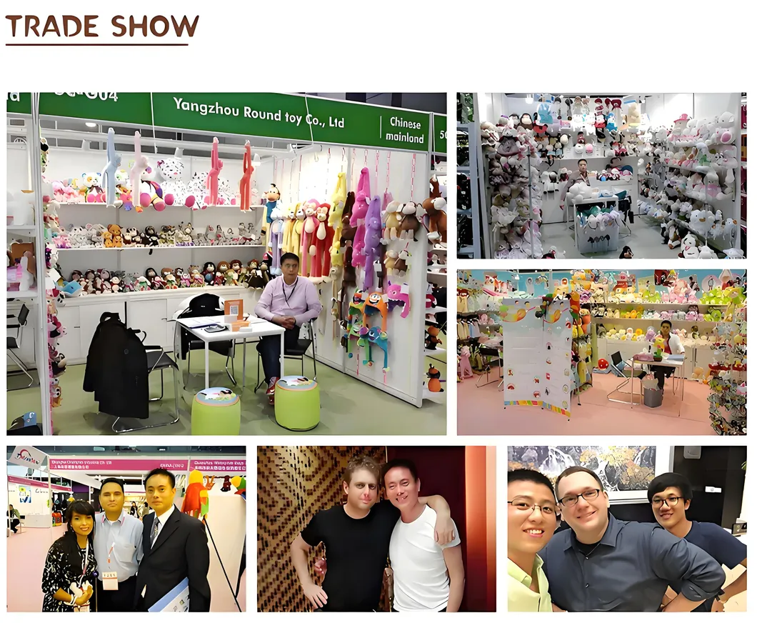 Company Exhibitions