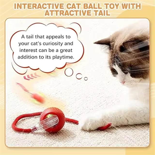 Rechargeable Toy Ball