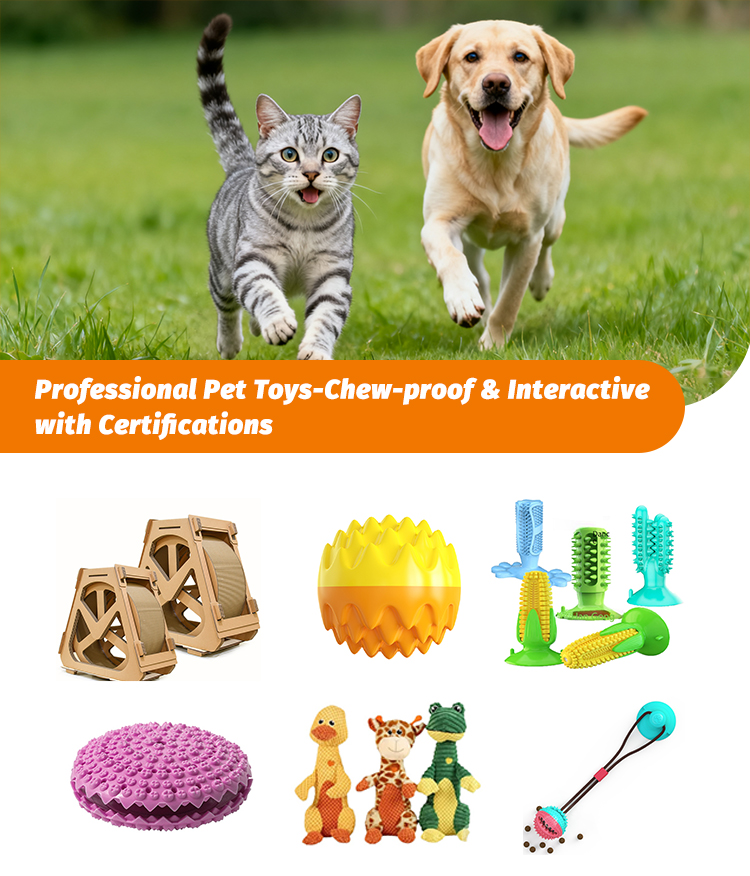 Pet Product Showcase 1