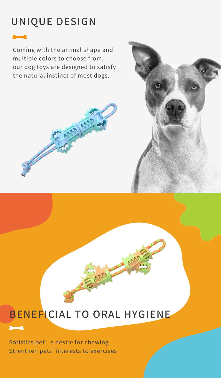 Dog Playing Toy