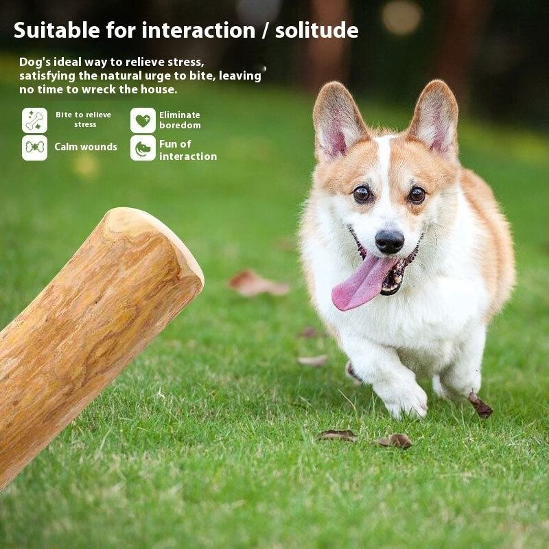Dog Chew Toy 100% Coffee Wood Eco-Friendly Dental Chew for Dogs Durable Interactive Teeth Cleaning Exercise Toy