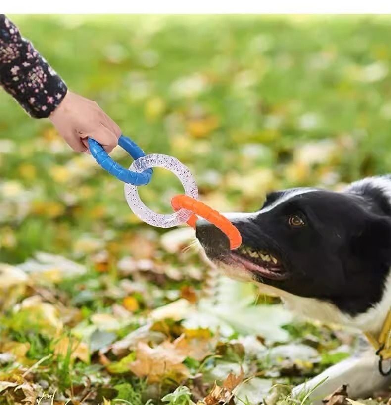Pet Supplies Interactive Toys