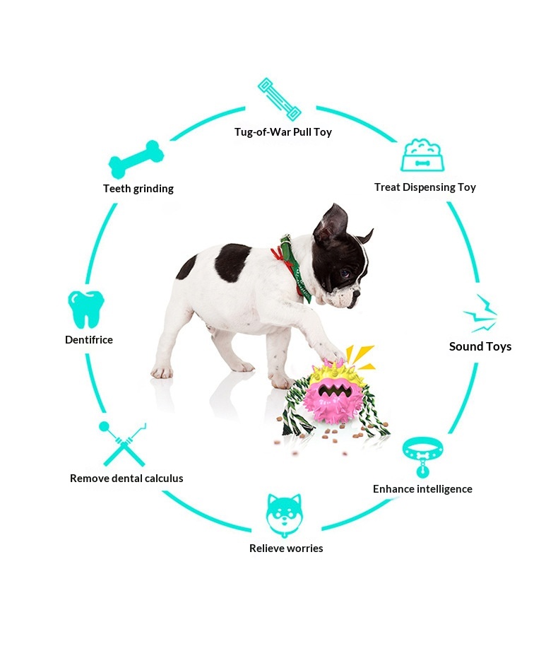Dog Toy Showcase 10
