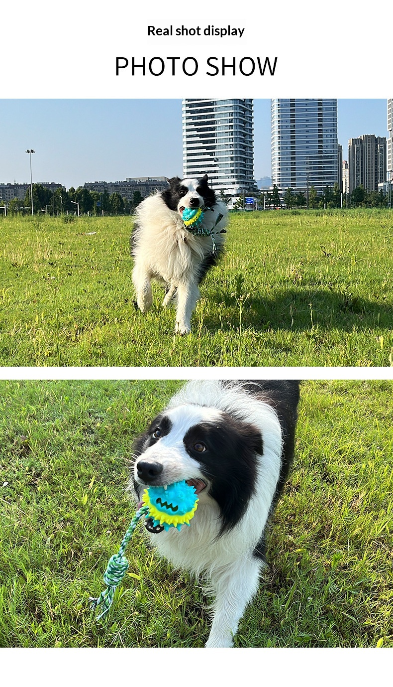 Dog Toy Showcase 12