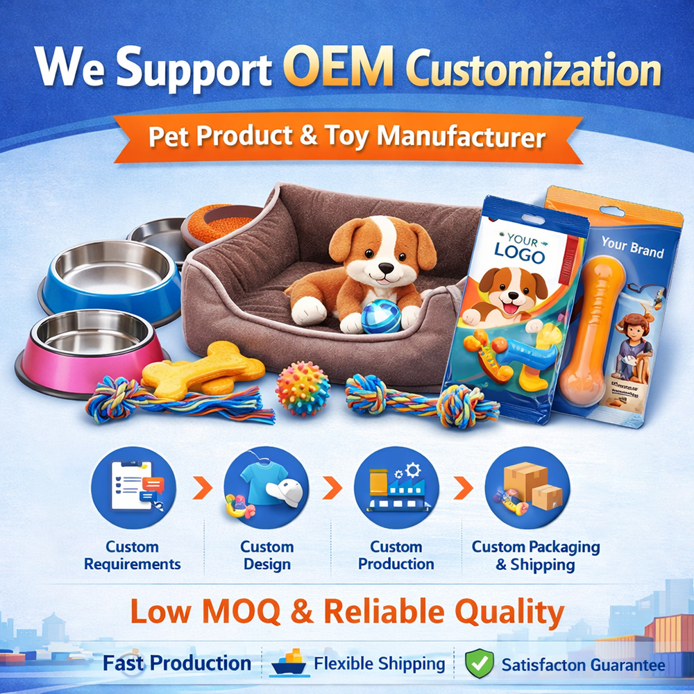 Wholesale Colorful Dental Cleaning Pet Toy TPR Dog Chew Toys Durable Rubber Teething Toy for Small &amp; Medium Dogs