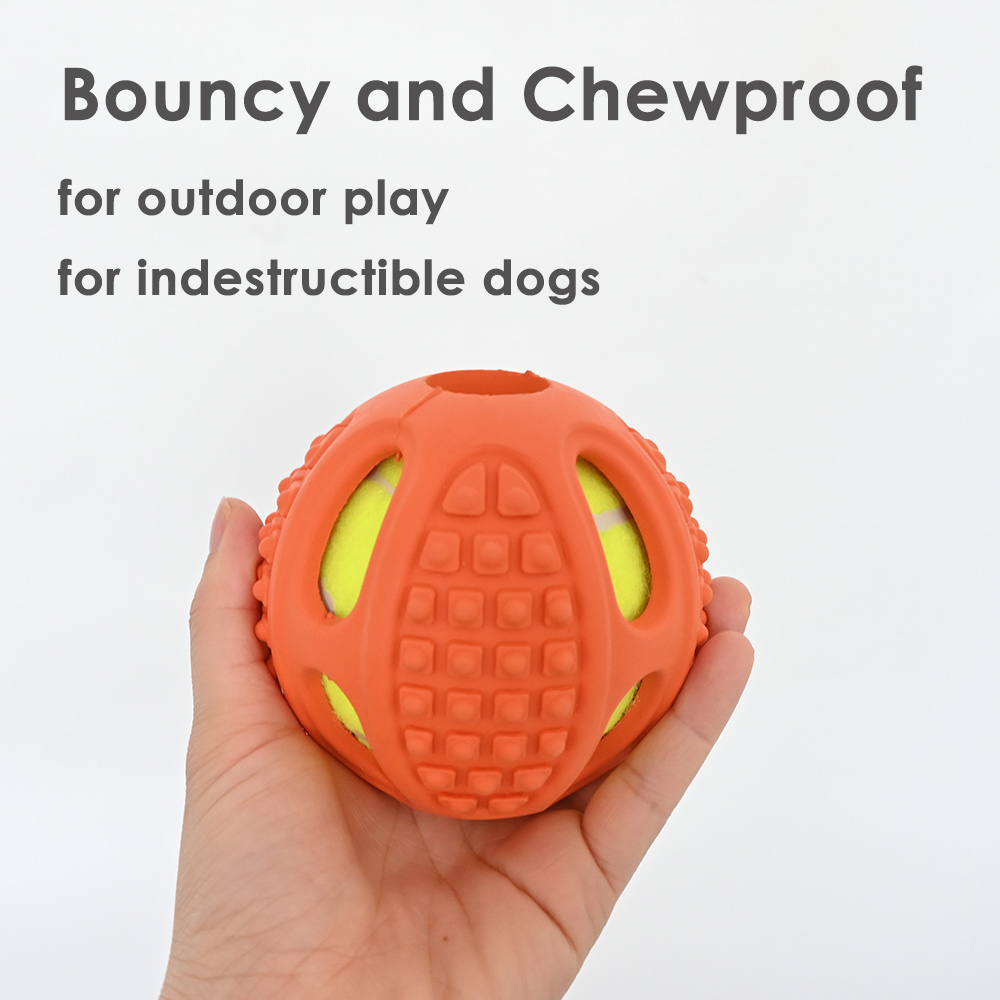Dog Inserted Ball Action 3