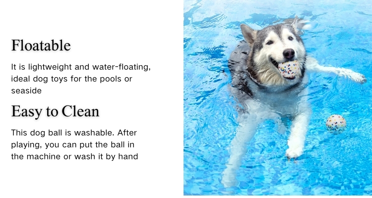 Product Description 5