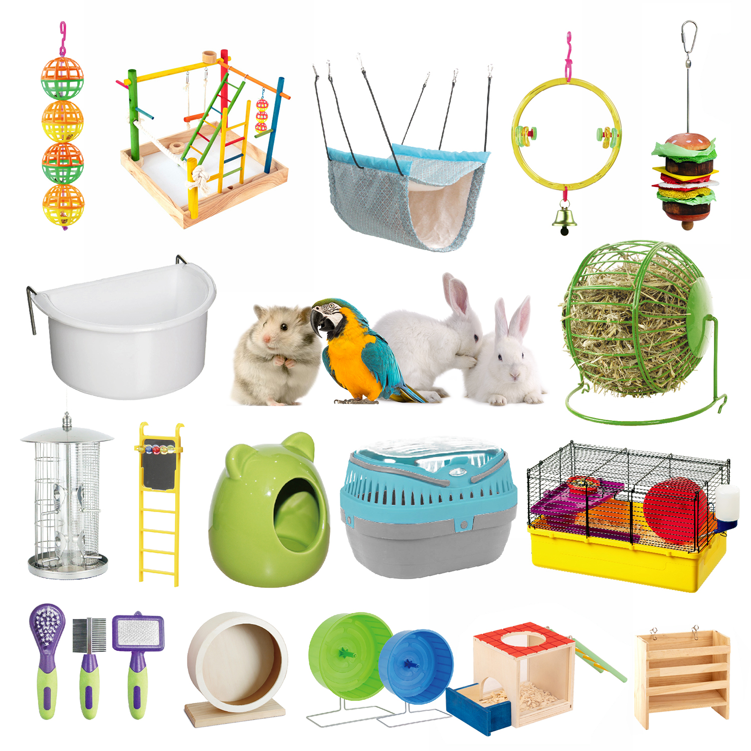 Small Animals
