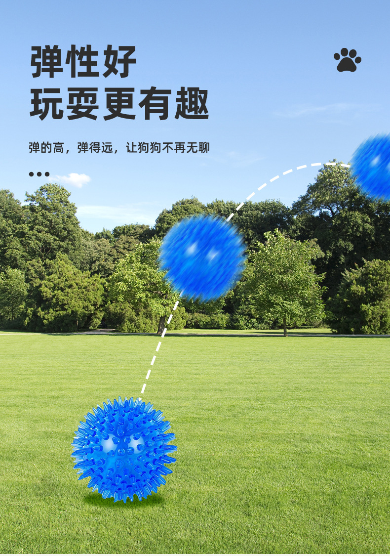 Dog Toy Image