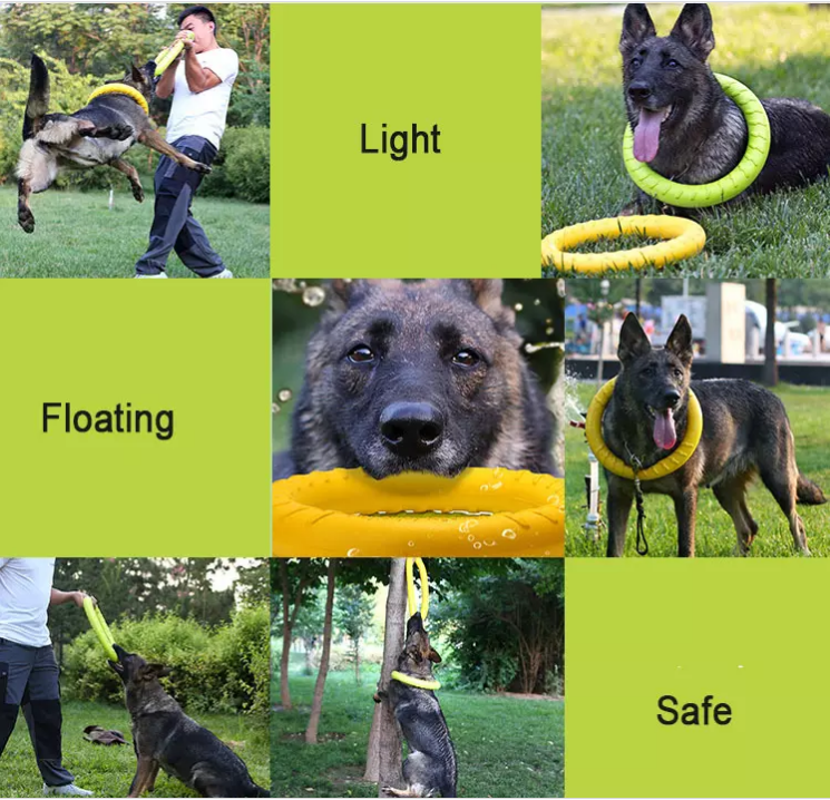 Dog Flying Disc Dog Training Toy