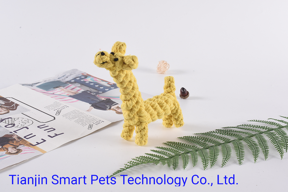 Hot Sale Colorful Chewing Rope Pet Dog with Toy Manufacturer