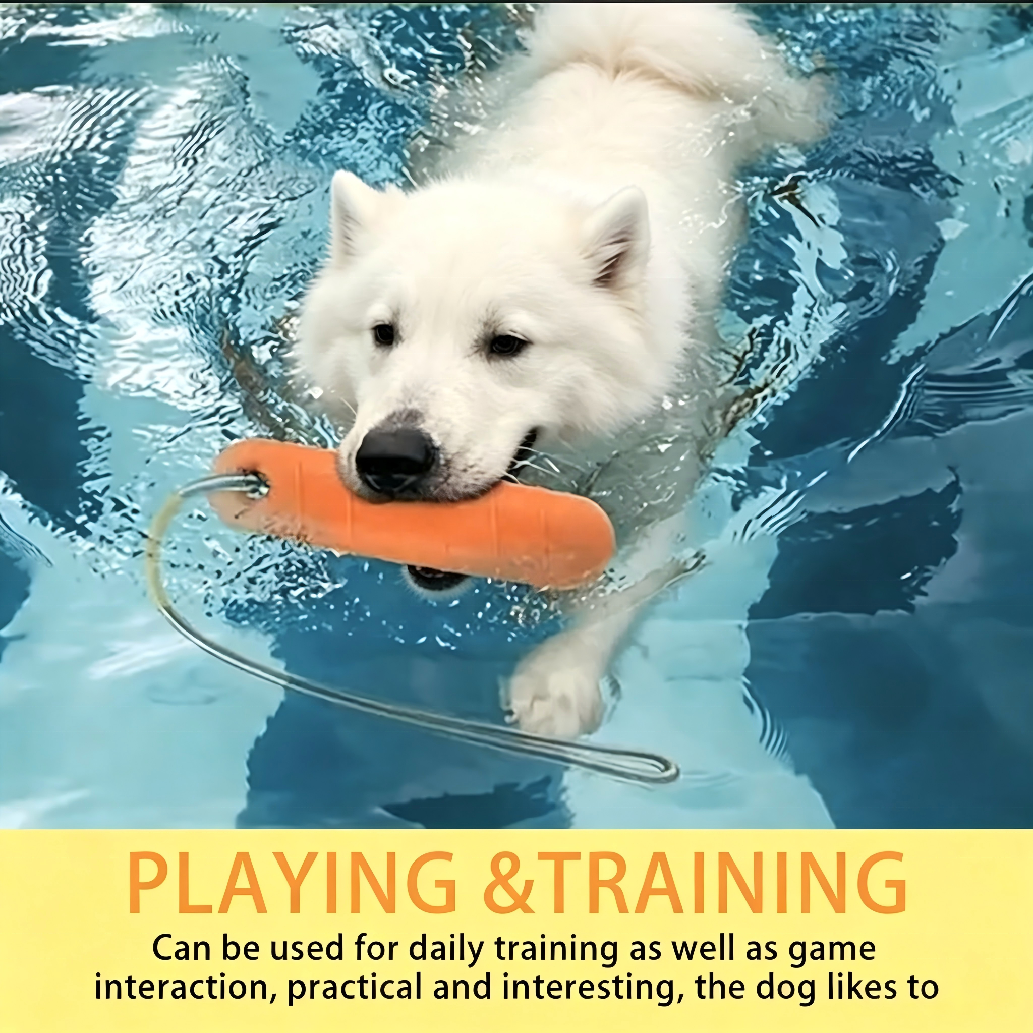 Indestructible EVA Chew Bar Pet Chew Toys Pet Toys Wholesale for Heavy Chewers All Breeds Safe
