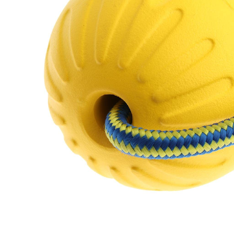 Factory Wholesale Training Pet Chew Toy Rope Bite Pull Ring Interactive EVA Floating Foam Dog Toys Ball